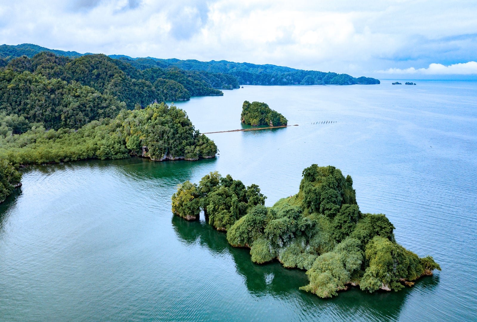 Do the Best Tour from Las Terrenas to Los Haitises National Park